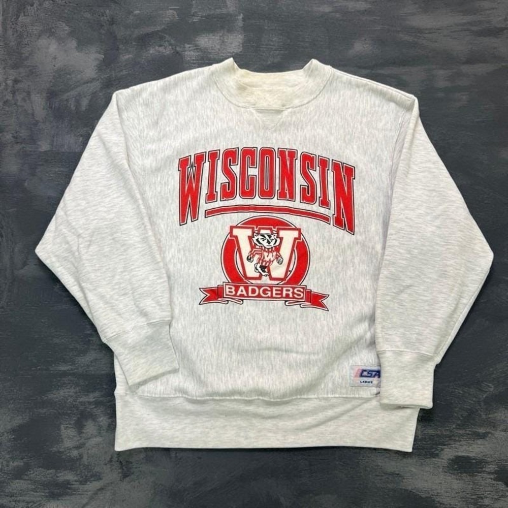 Vintage Wisconsin Badgers Sweatshirt Mens Large Gray 1990s NCAA